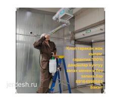 Дезинфекция