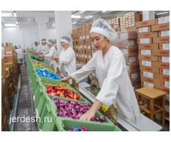 УПАКОВКА ОФИЦИАЛЬНЫЙ ЖУМУШ КУНУНО ТОЛОНОТ 5000-5500 КЫЗДАР БАЛДАР КЕРЕК ВАТСАП ЖАЗЫНЫЗДАР