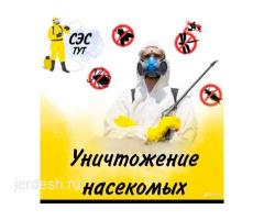 КЛОП ТАРАКАН ЖОК КЫАЛАЫЗ МЕКЕНДЕШТЕР